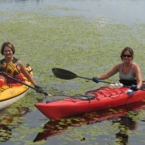 Meet your Posher, Lynn